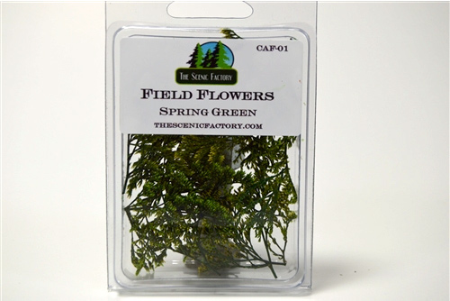 Field Flowers - Spring Green (Glycerin Preserved )