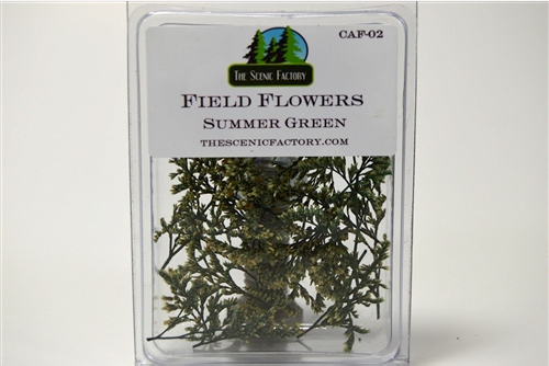 Field Flowers - Summer Green (Glycerin Preserved )