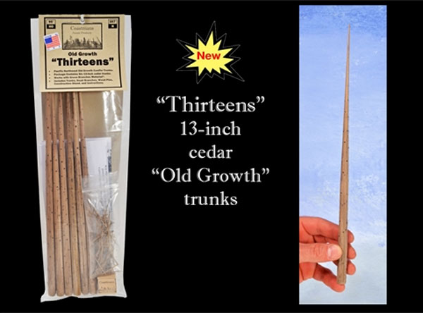 13in. Pine Tree Trunks (Coastmans)