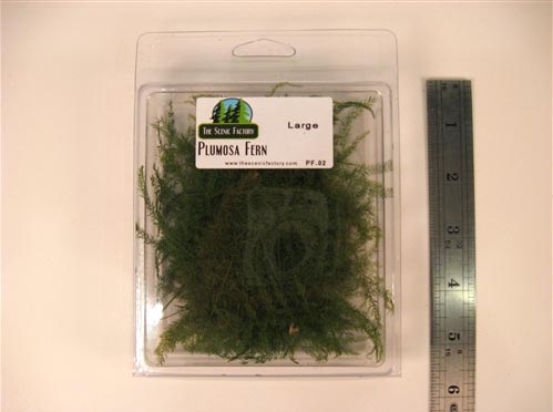 Pine Branches - Large Package