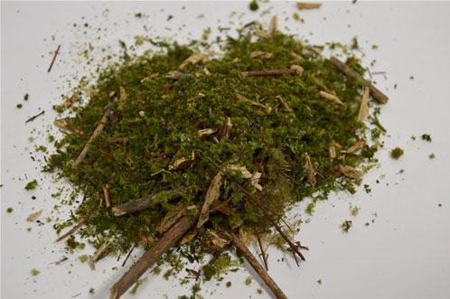 Deep Forest Floor Ground Cover (Green)