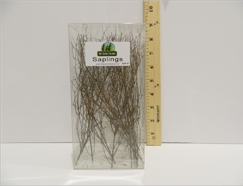 Saplings