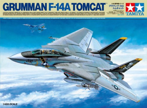 F14A Tomcat Fighter
