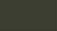 Model Air Olive Green RLM80