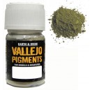Pigments- Faded Olive Green - 30ml Bottle