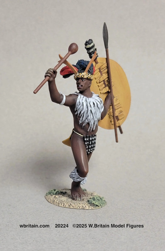 Zulu War Collection: Zulu Warrior Urging Men Forward, 1879