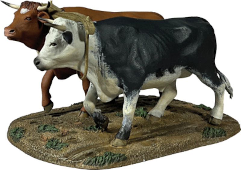 Village Green: Yoke of Oxen
