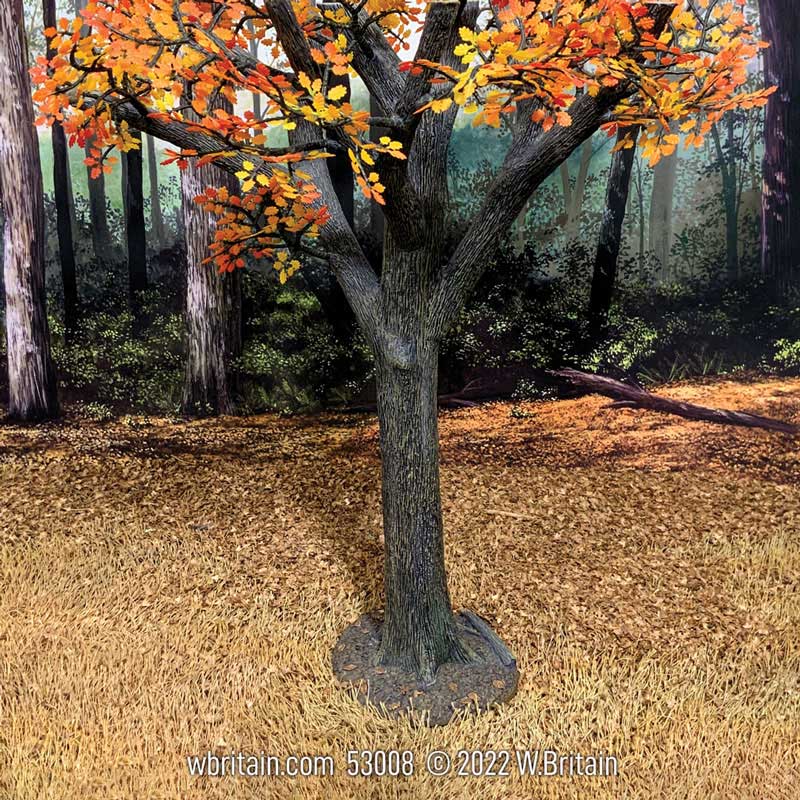 Old Growth Oak Tree, Autumn