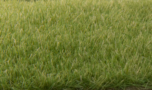 Michigan Toy Soldier Company : Woodland Scenics - Static Grass- Dark Green  (7mm Bag)