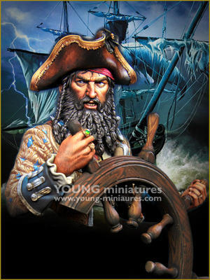 Age of Pirates  The Pirate