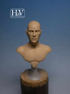 Male Anatomic Bust