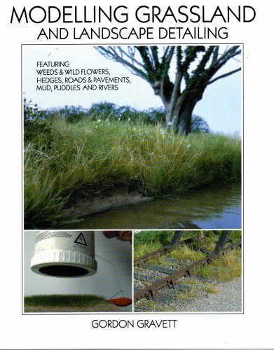 Modelling Grassland and Landscape Detailing