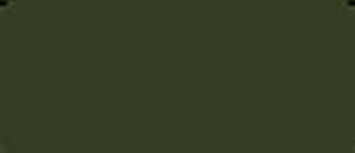 LifeColor Dark Green 22ml FS 34079