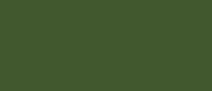 LifeColor Green 22ml FS 34102