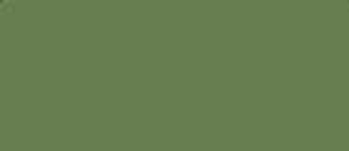 LifeColor Interior Green 22ml FS 34151