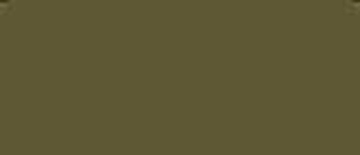 LifeColor Olive Drab 41 22ml FS 34088