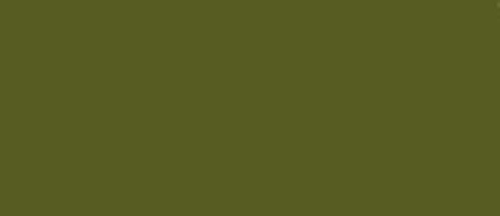 LifeColor Green 22ml FS 34127