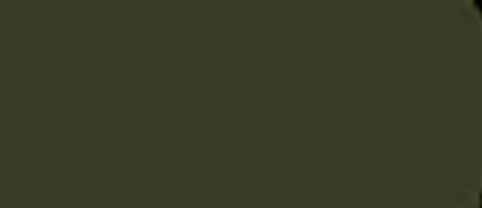 LifeColor Dark Green rlm 71 22ml FS 34079