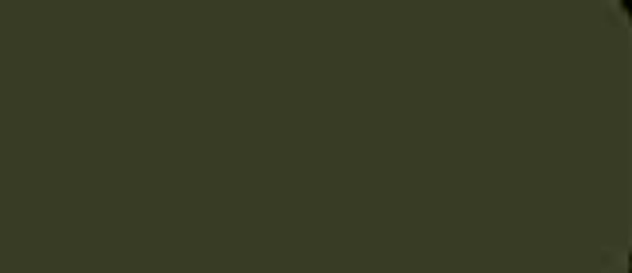 LifeColor Dark Green rlm 71 22ml FS 34079