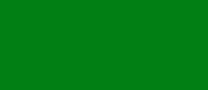 LifeColor Bright Green rlm 25 22ml FS 24115