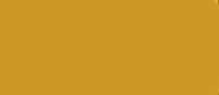 LifeColor Mimetic Yellow 3 22ml FS 33434