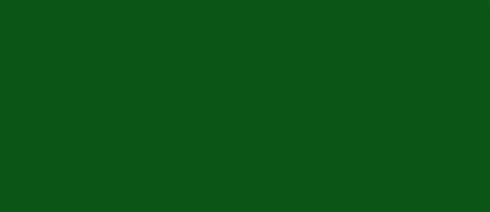 LifeColor Interior Green 22ml FS 14108