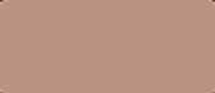 LifeColor Desert Sand 49 22ml FS 30279