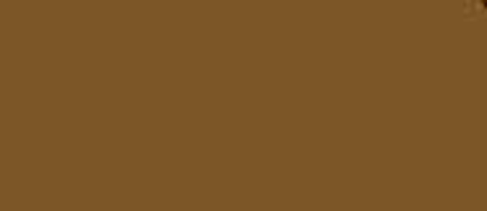 LifeColor Japan Medium Brown a12 22ml FS 30410