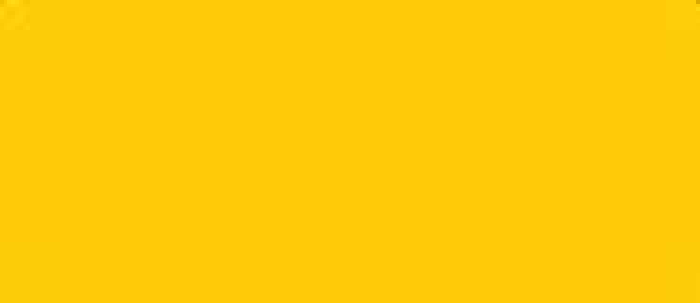 LifeColor Yellow rlm 04 22ml FS 33538