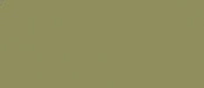 LifeColor UA213 Grigio-Verde Chiaro – Colore Acrilico Per Modellismo, Aerografo E Pennello, A Base D'acqua - 2