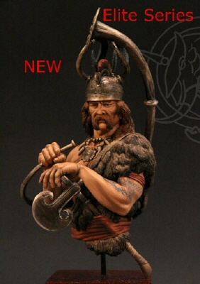 Viksoe Warrior 800-400 b.C BUST