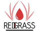 Redgrassgames