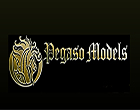 Pegaso Models